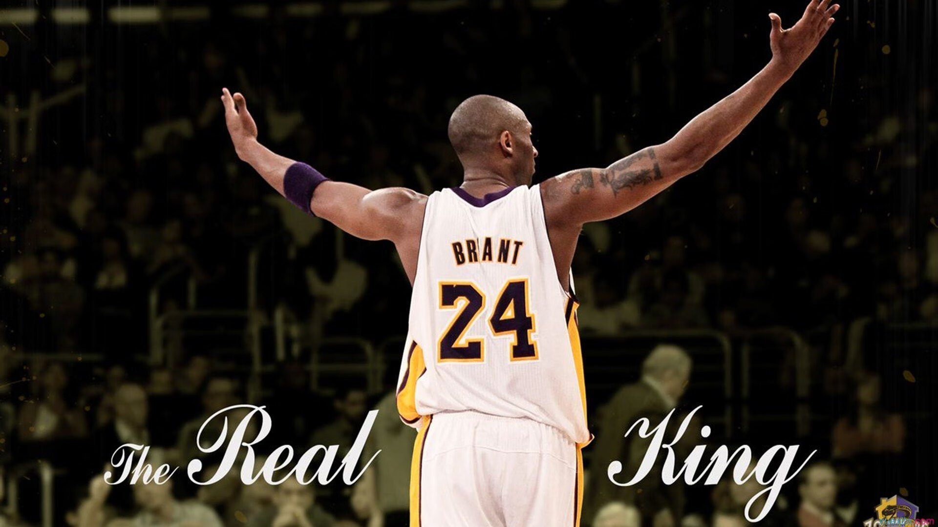 AYX GAMES-公牛前锋接受电视专访分享赛场故事，公牛以前的中锋